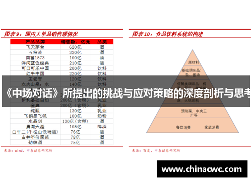 《中场对话》所提出的挑战与应对策略的深度剖析与思考