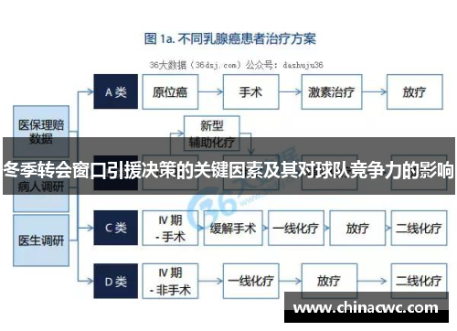 冬季转会窗口引援决策的关键因素及其对球队竞争力的影响